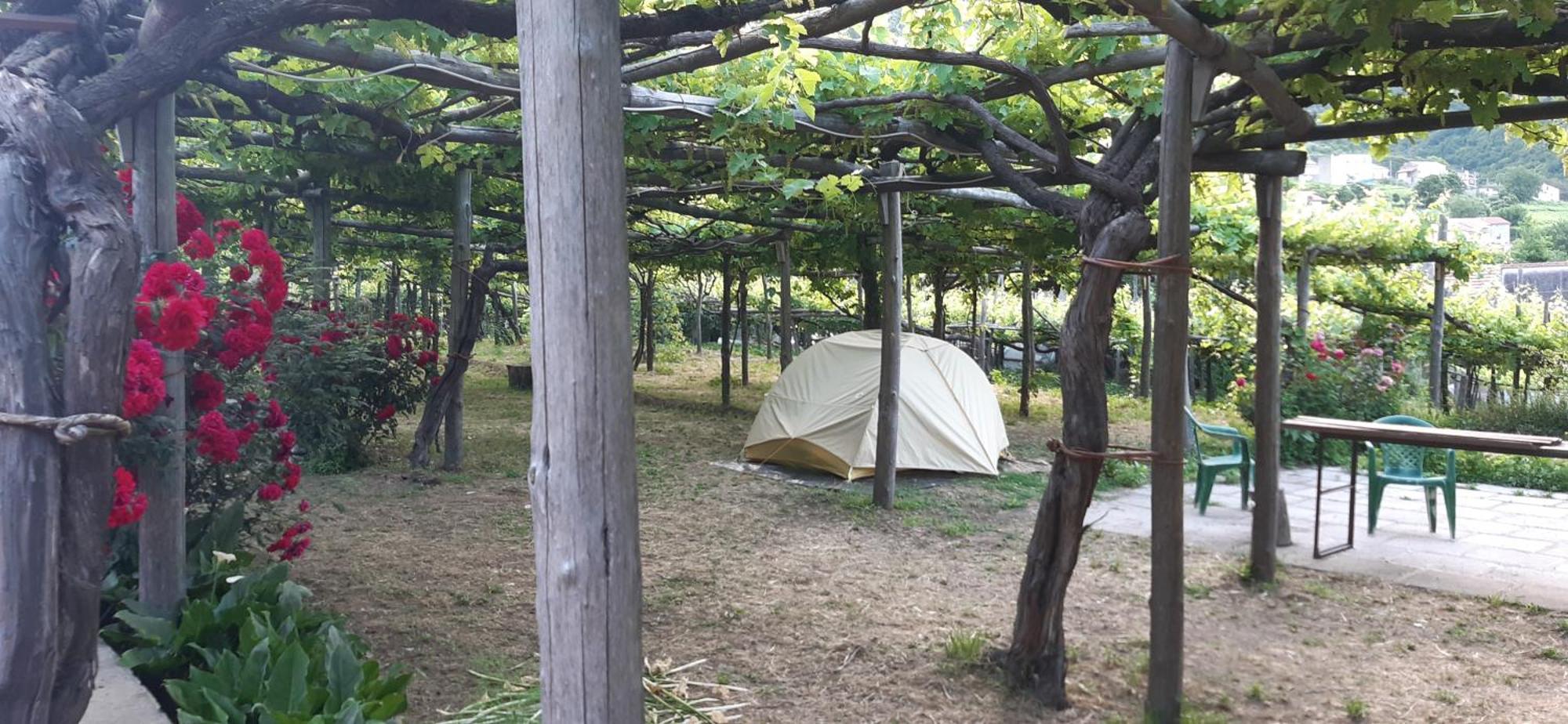 Agriturismo Mare E Monti トラモンティ エクステリア 写真