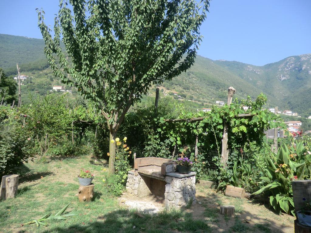 Agriturismo Mare E Monti トラモンティ エクステリア 写真