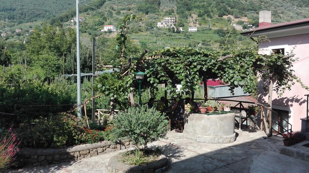 Agriturismo Mare E Monti トラモンティ エクステリア 写真